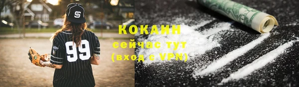 гидропоника Дмитриев