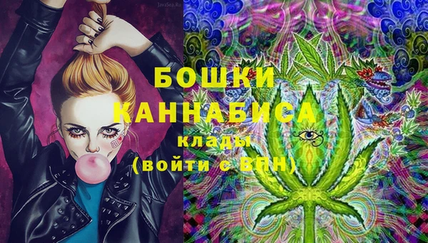гидропоника Дмитриев