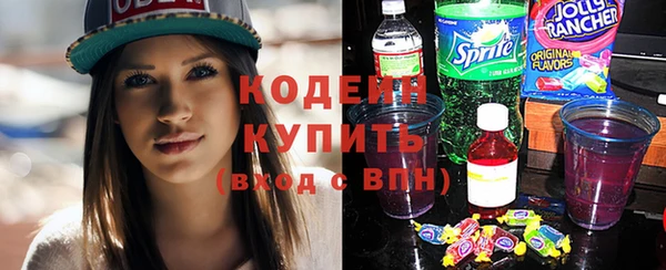 гидропоника Дмитриев