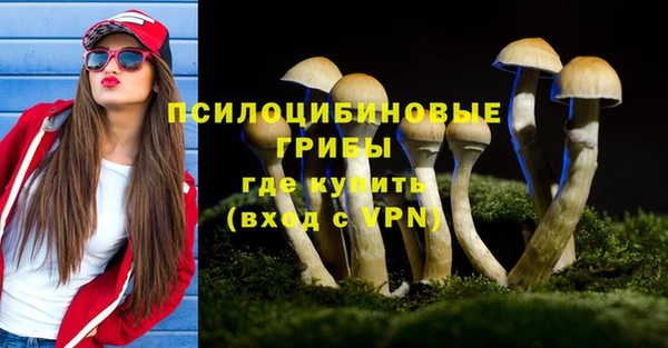 ПСИЛОЦИБИНОВЫЕ ГРИБЫ Дмитровск