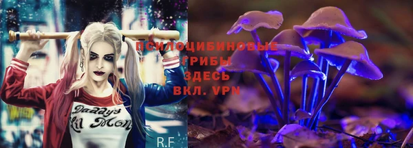 ПСИЛОЦИБИНОВЫЕ ГРИБЫ Дмитровск